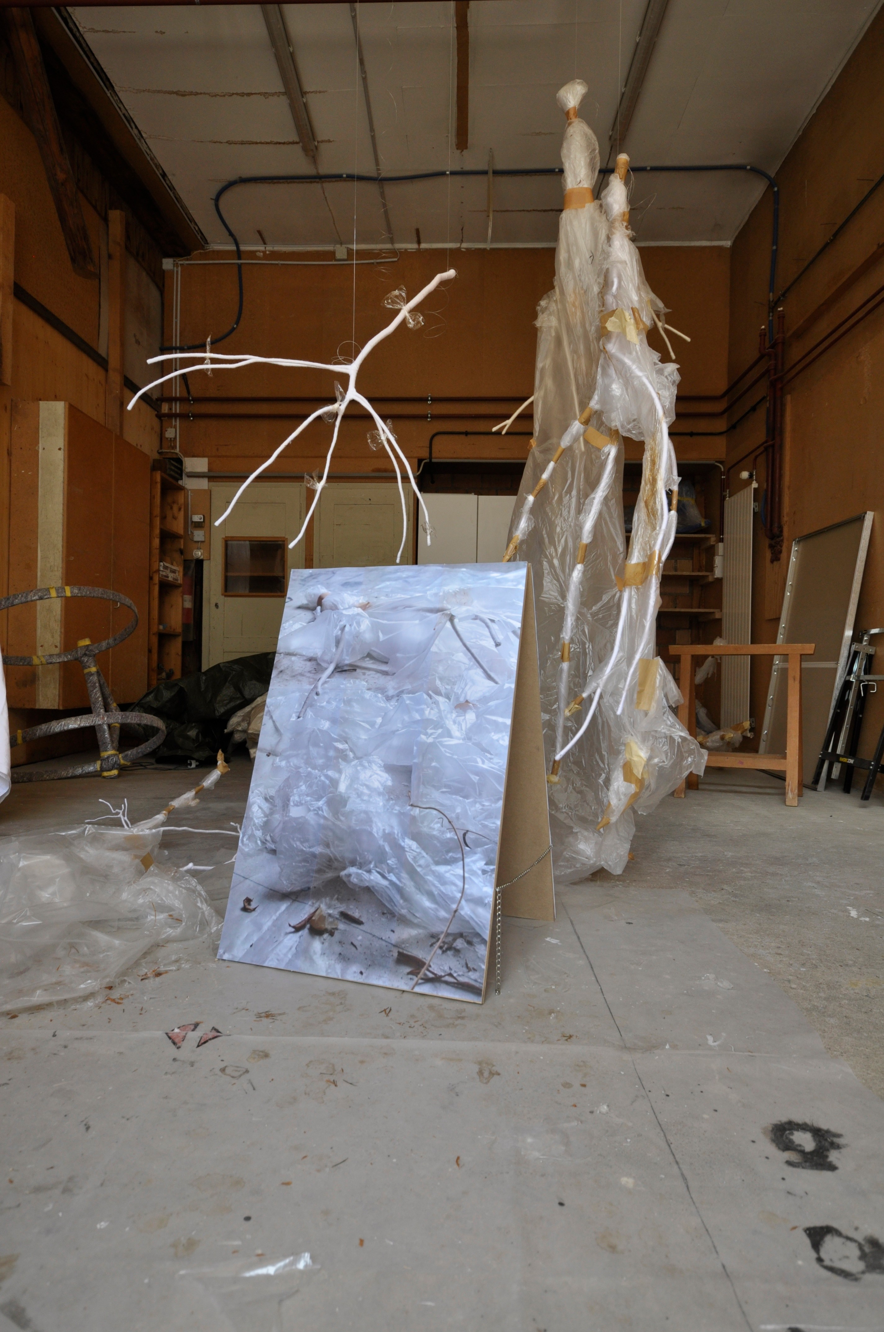 Alexandre Joly Installation